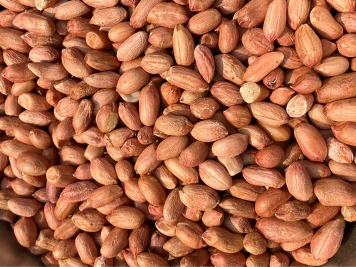 Peanuts Mungfali Singdana Groundnut - Organic Dried Peanuts, Brown Color, With Shell, Shelf Life 12 Months | Fresh Quality, No Added Preservatives