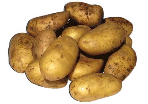 Potato - B Grade, C Grade, A Grade, 20 Kg & 50 Kg Packaging Size, Net Bag & Gunny Bag, Packed Form Packed, Common Chopped Style 