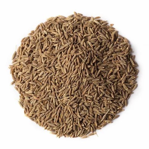 Whole Cumin Seeds - Organic Whole Brown | Fresh Quality PP Bag Packaging Raw Processing 12 Months Shelf Life