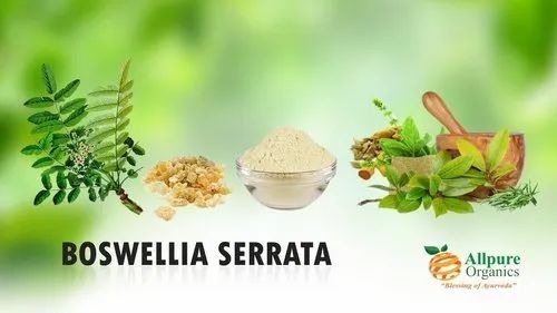 Boswellia Serrata Extract