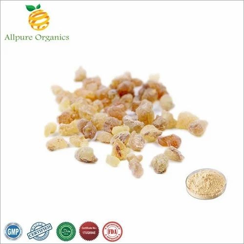 Boswellia Serrata Extract Powder - 50%, 65%, 85% Purity | Off White Color, Silver Foil Packaging