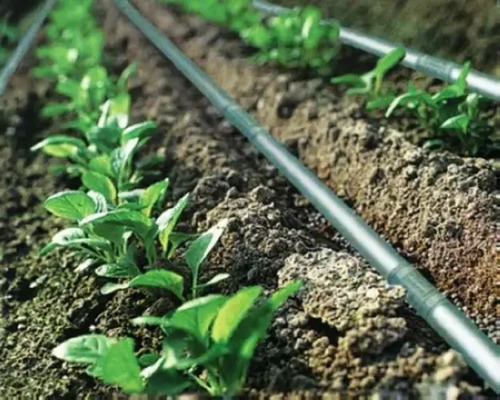 Micro Drip Irrigation