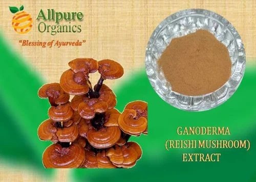 Reishi Mushroom Extract