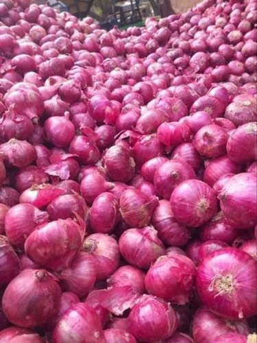 B Grade Fresh Red Onion
