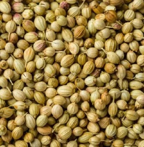 Coriander Seeds