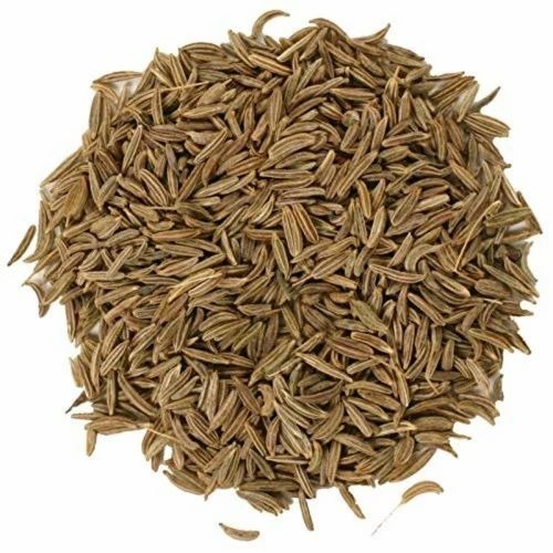 Cumin Seed Jeera - Natural Brown, A Grade | Quality: European, Singapore, Whole | Packaging: Gunny Bag, Cartons, Plastic, Jute Bags | Shelf Life: 2 Years
