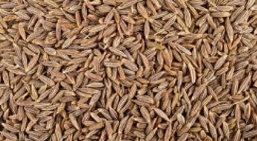 Cumin Seeds