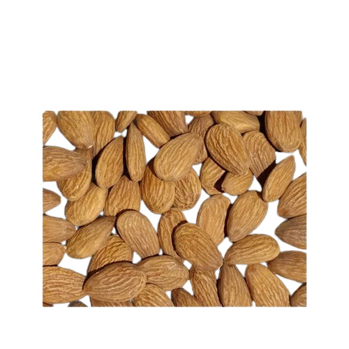 Dry Almond Kernel