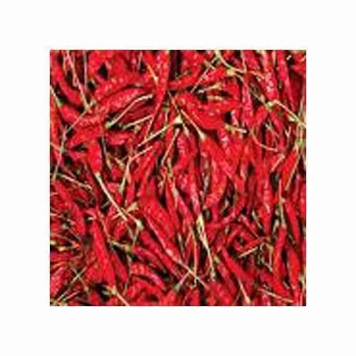 Dry Red Chillies