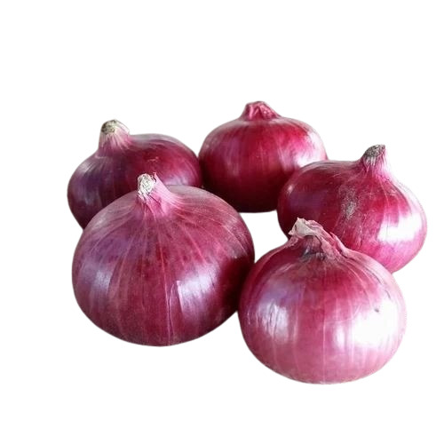 Fresh Nashik Onion