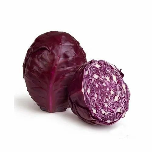 Fresh Red Cabbage