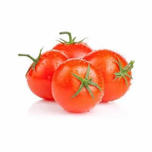 Fresh Red Tomato