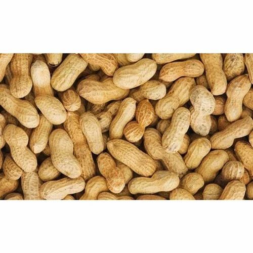 Natural Raw Shelled Groundnut Peanut