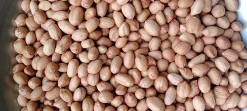 Organic Natural Groundnut Peanuts Seeds