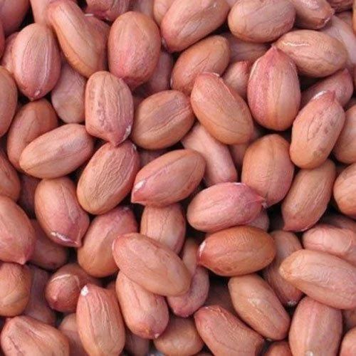 Premium Groundnut Kernels - 50kg Sack, 35-40% Oil Content | Organic, Dried, Red Color, 1% Broken, 8% Moisture, 6 Months Shelf Life