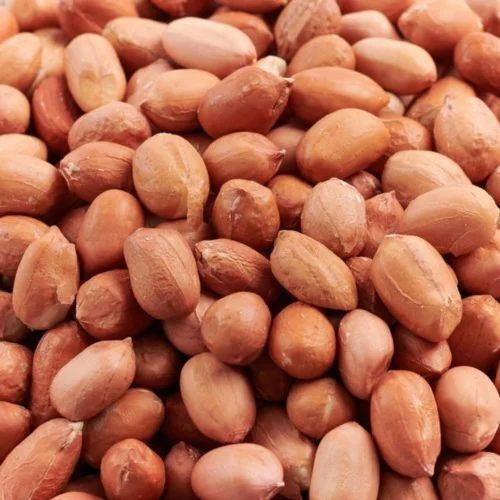 Raw Peanut Groundnut Oil Seeds 