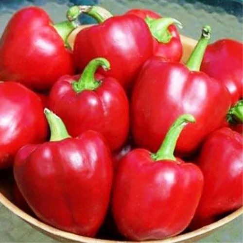 Red Capsicum