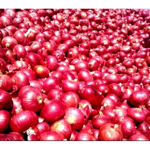 Red Onion