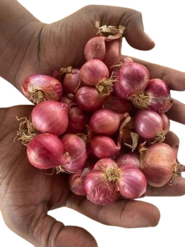 Small Sambar Onions