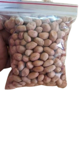 Tg 1 Groundnut Peanut Seeds 