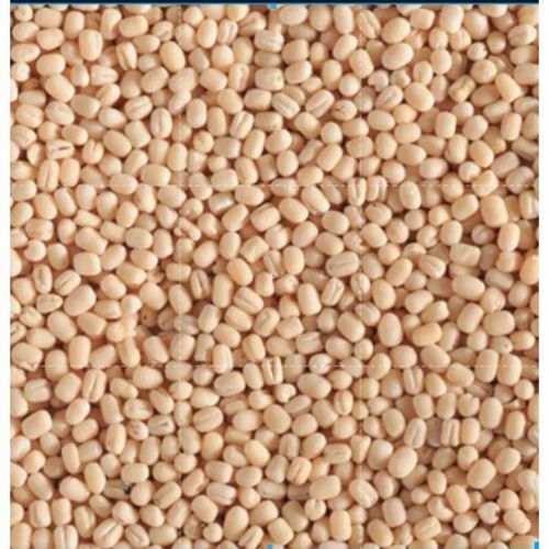 White Urad Dal