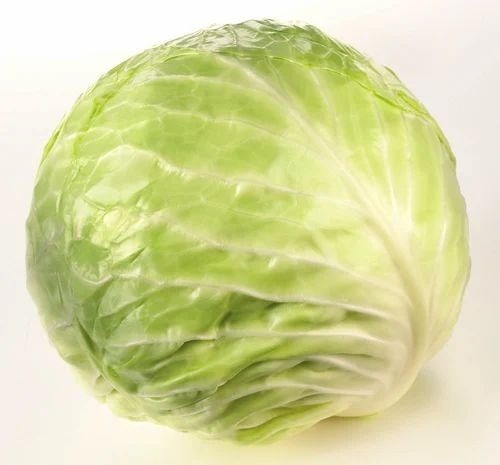 Cabbage - Fresh A Grade, Chopped Common Shape | Cooking Style for Optimal Culinary Applications