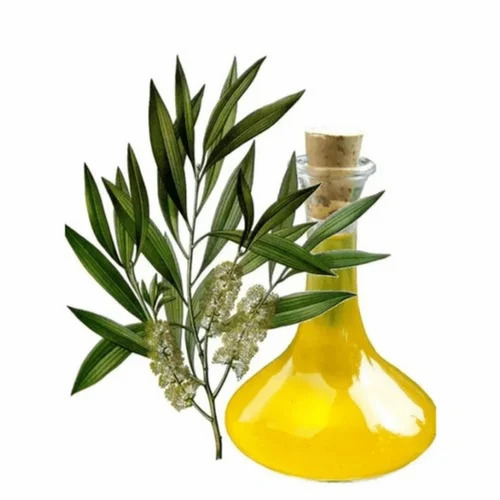 Cajeput Oil - Liquid Form Bottle | Fragrance Compound 99% Purity Suitable for All Ages 24 Months Shelf Life