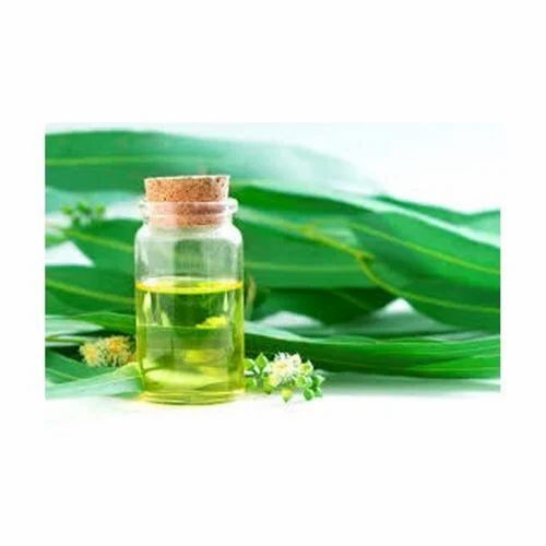 Eucalyptus Oil