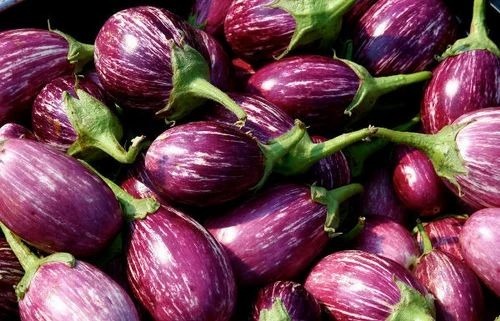 Fresh Brinjal - A Grade, Optimum Quality Fresh Vegetables | Chopped, Common Shape, Cooked Style
