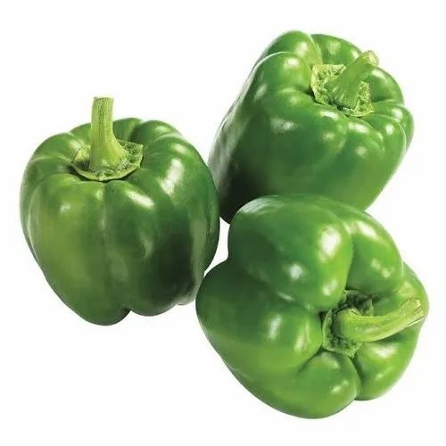 Green Capsicum - Fresh Vegetables, A Grade, Chopped Form, Common Shape, Cooked Style