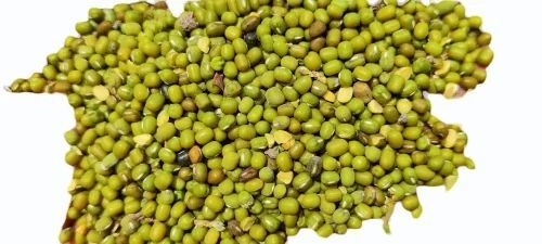 Pure Organic Green Moong Dal - 50 Kg PP Bag, Fresh Whole Lentils Rich In Protein, 100% Pure Quality