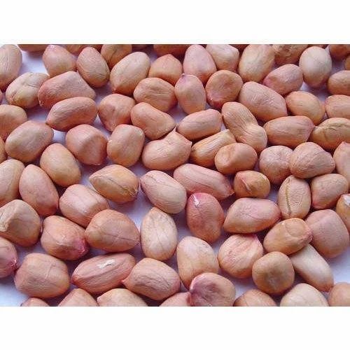 Groundnut Seeds Roasted Peanut - Organic, 100g Packet | Fresh, Roasted, 6 Months Shelf Life, Healthy Ingredients