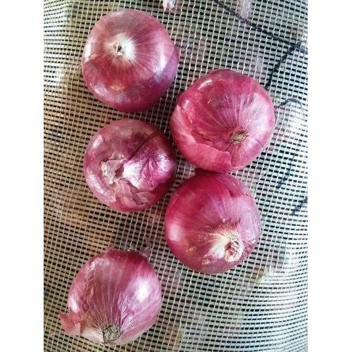 Indian Red Onion - Gunny Bag Packaging Size 50 Kg | Chopped, Common Shape, Cooked Style, 146 mg Potassium, 1.1 g Protein, 40 Calories