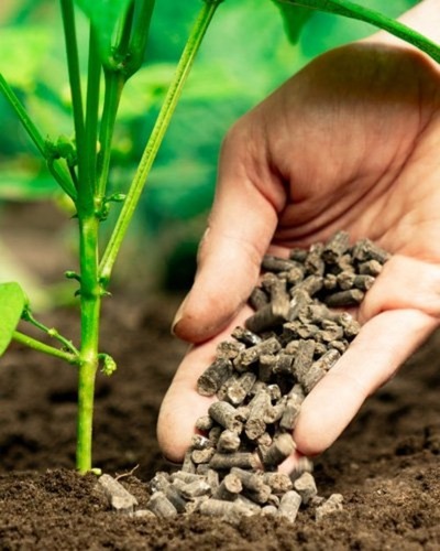 Organic Fertilizers and Biostimulants