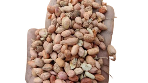 Organic Pure Raw Peanut Kernel