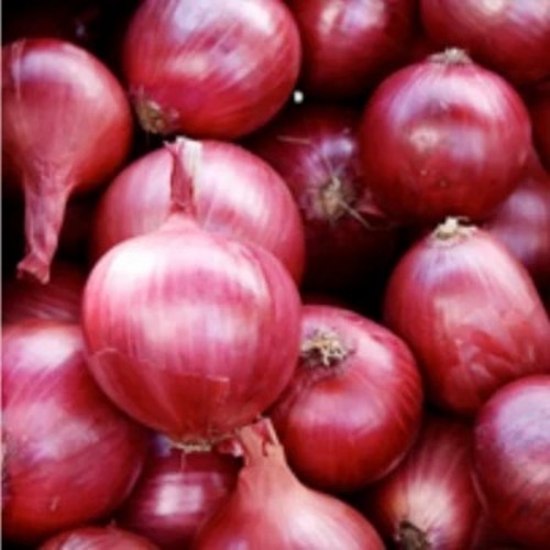 Red Onions - Fresh A Grade, Chopped Common Style | Ideal for Cooking Applications