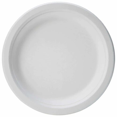 9 Inch Round Paper Plate