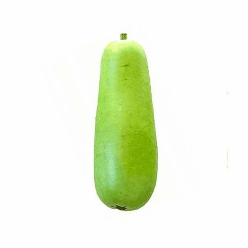 Bottle Gourd