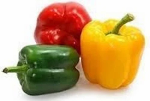 Colour Capsicum - 1 Kg Variety: Red, Yellow, Green | Chopped Style, Common Shape, Cooked Processing Form