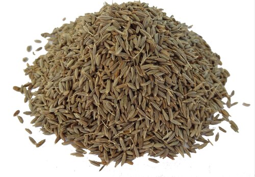 Cumin Seeds - Product Type: Dried