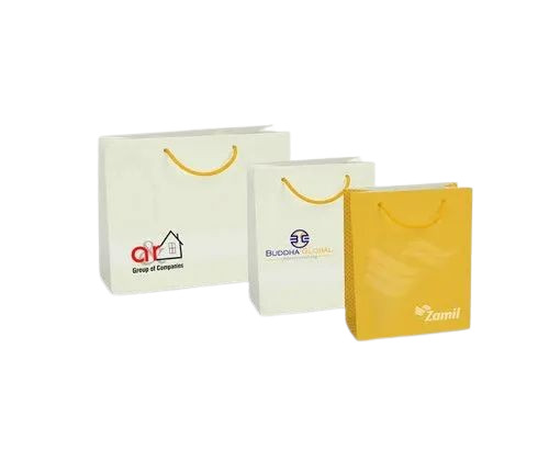 Custom Printed Paper Bag - 2kg Capacity, Multicolor Design | Biodegradable, Moisture Proof, Recyclable, Rope Handle