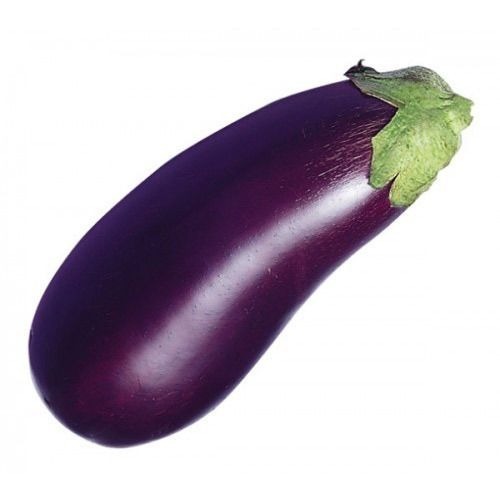 Fresh Brinjal - Chopped in Plastic Bag | Common Shape, Cooked Style, Fresh Quality