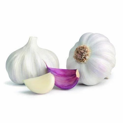 Fresh Garlic