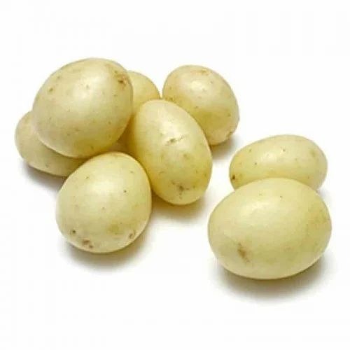 Fresh Nadine Potato