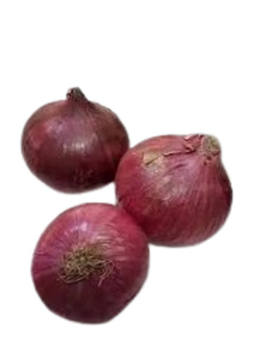 Fresh Onion - B Grade, C Grade, A Grade, Small, Medium, Large Available in Gunny Bag and Net Bag | Chopped Processing Form, Common Shape, Cooked Style