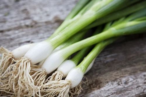 Green Onions - Fresh A Grade Vegetables Chopped Processing Form Common Shape Cooked Style