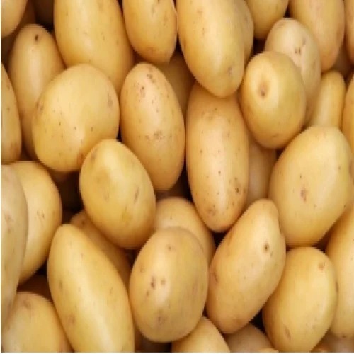 Nadine Potato - Fresh White Vegetables, Chopped Style for Human Consumption