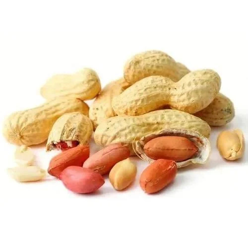 Organic Groundnut Shell Peanut