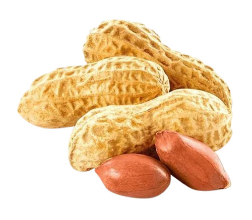 Organic Natural Groundnut Shell Peanut