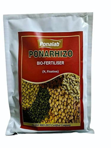 Pona Rhizo (Rhizobium sp.)